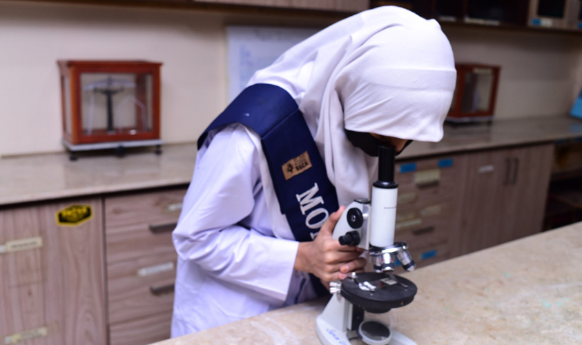 SSCA